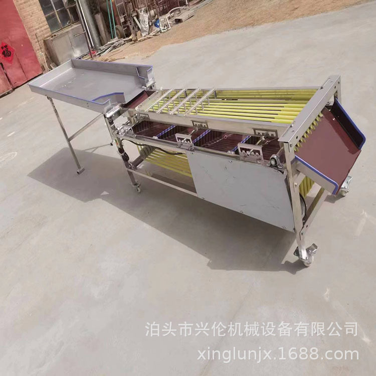 选果机大蒜洋葱分拣级 冬枣分级机山竹西红柿分选机家庭用不伤果,淘宝优惠券,粉丝福利购,淘宝优惠卷