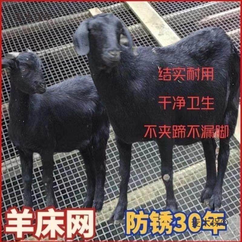羊床网养羊网养鸡鸭鹅漏粪钢网养殖围栏网热镀钢丝网加粗超麦太保,淘宝优惠券,粉丝福利购,淘宝优惠卷