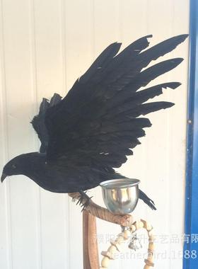 乌鸦模型羽毛鸟乌鸦仿真乌鸦鬼节乌鸦道具万圣节装饰派对