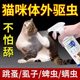 Dog anthelmintic drug in vitro to remove fleas and ticks, special pet flea clearing and insect repellent spray for cats