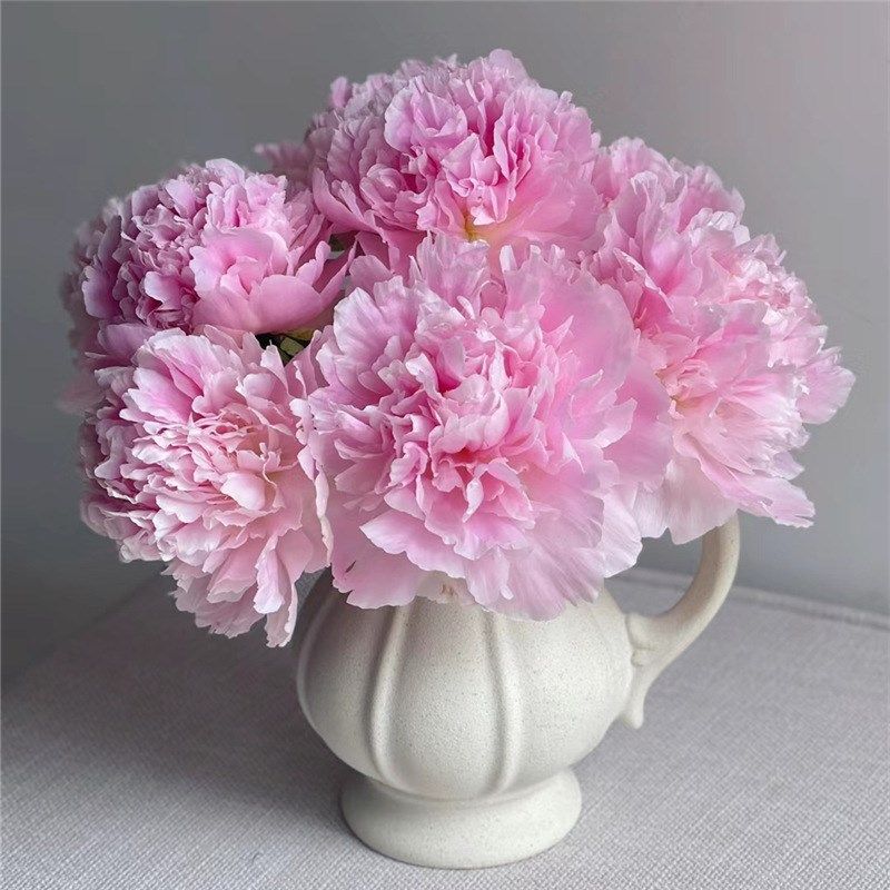 牡丹鲜花c花束鲜切花速递家用母情节芍药鲜花菏泽牡丹,淘宝优惠券,粉丝福利购,淘宝优惠卷