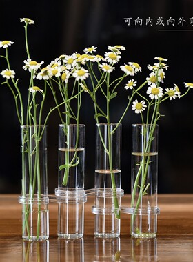 一排试管花瓶鲜花绿植水培玻璃花瓶创意网红花架家居摆件可折叠