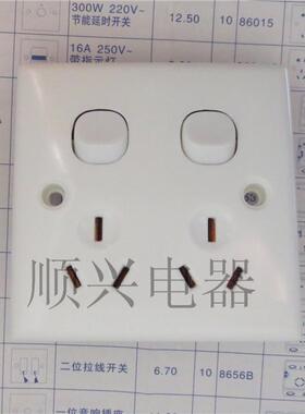独立开关独立插座多功能开关插座双开关三三插双控六孔插座