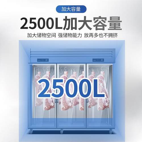 挂肉柜商用保鲜柜鲜肉冷冻柜猪羊牛肉柜冷藏立式冷鲜肉排酸展示柜 - 图1