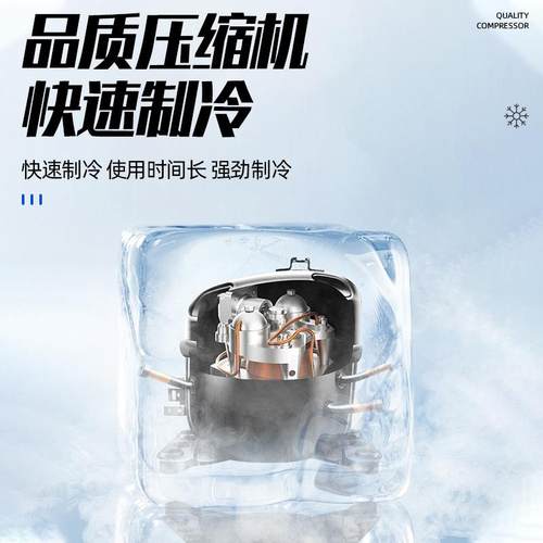 商用单双三门饮料柜立式冰柜饮料啤酒冷藏保鲜柜酒吧超市展示柜 - 图2