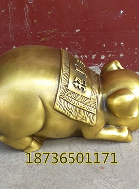 纯铜猪金猪招财猪生肖猪开业礼品铜器动物工艺礼品摆饰家居桌面摆