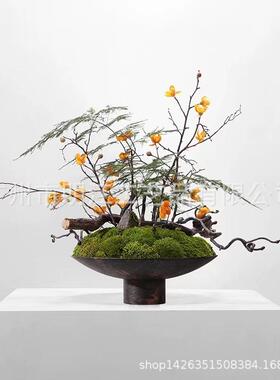新中式仿真绿植摆件青苔盆景茶室玄关客厅禅意创意圆底装饰品有孔