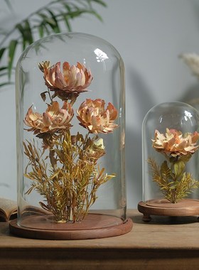 植物标本干花花艺摆件家居创意花瓶软装样L板间书房橱窗展示台陈