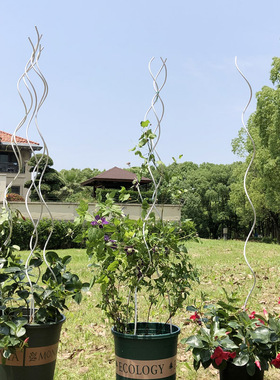 爬藤架花架爬藤支架铁线莲爬藤架螺旋花支架支撑杆月季植物支撑杆