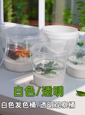 懒人养龟桶乌龟隔离盒养龟神器生态箱乌龟缸龟苗饲养盒塑料小水桶