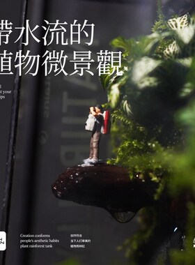 BANSHAN小森林流水桌面植物雨林缸家居网红小众定制摆件解压送礼