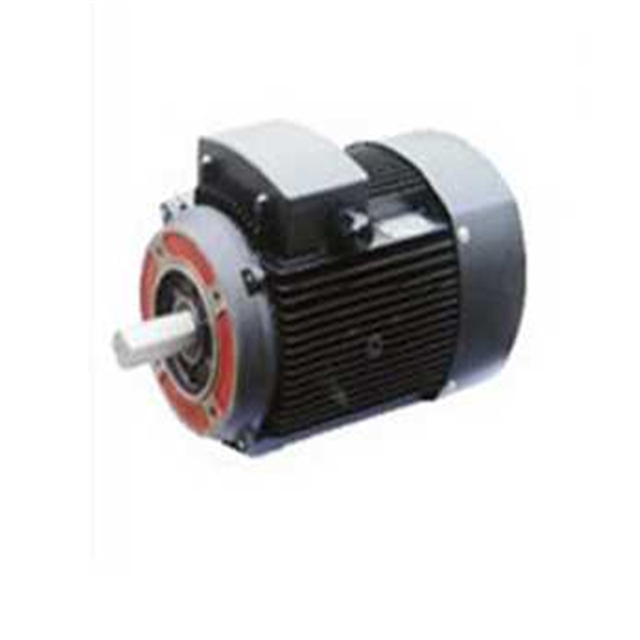 B14 vertical small flange motor CDL2900 rotating motor Yuannan Nanfang vertical multi-stage pump motor in Guangdong and South China