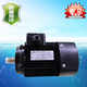 B14 vertical small flange motor CDL2900 rotating motor Yuannan Nanfang vertical multi-stage pump motor in Guangdong and South China
