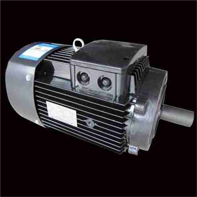 B14 vertical small flange motor CDL2900 rotating motor Yuannan Nanfang vertical multi-stage pump motor in Guangdong and South China