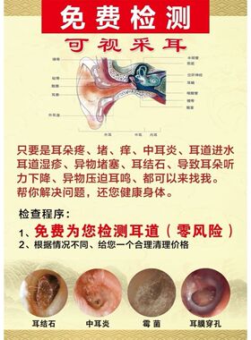 人耳解剖学海报展板价格指南检测可视采耳装饰画KT板墙贴墙纸