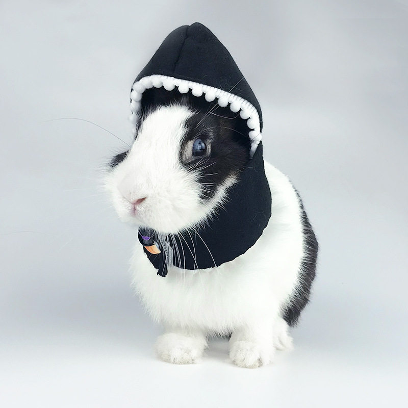 宠物兔兔拍照装饰衣服兔子头饰小帽子新年耶诞节万圣节日衣服饰品,淘宝优惠券,粉丝福利购,淘宝优惠卷