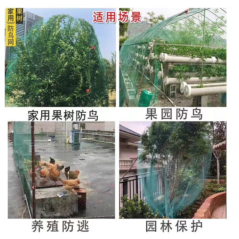 果树防鸟网罩嘉宝树无花果樱桃桃树防护防鸟网防冰雹网果园防鸟网,淘宝优惠券,粉丝福利购,淘宝优惠卷