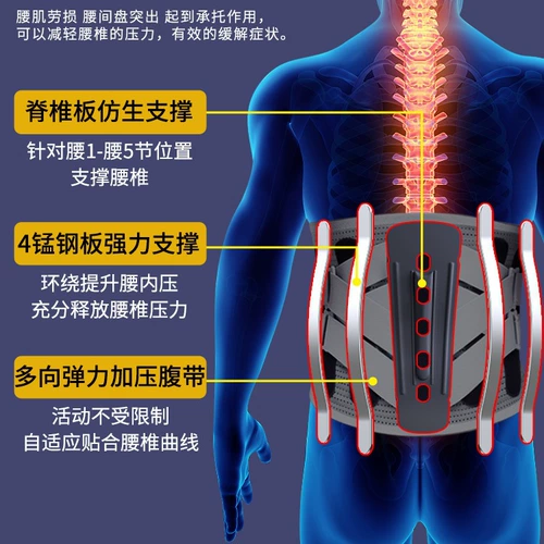 Медицинский поясничный поясной поясничный поясничный поясничный штамм поясничный позвоночник выступает в поясничных мышцах поясничных мышц, боли в спине, мужчин и женщин, физиотерапия талии по талии талии на долгое время