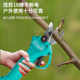 Dayi lithium battery pruning shears 5301 handheld rechargeable brush pool garden fruit tree pruning electric scissors electric shears