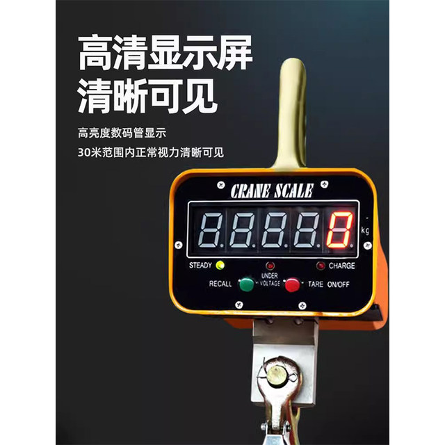 H&G Shanghai Industrial Electronics Crane Scale High Precision Driving Scale
