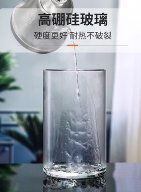 极速玻璃花瓶透明插花水培马醉木水培富贵竹直筒客厅摆件ins风高