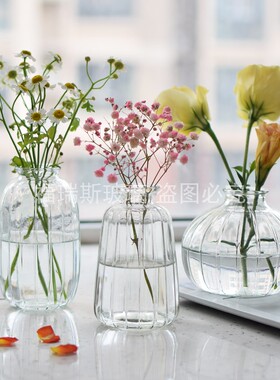 好货新款小花瓶透明玻璃竖条s日式轻奢桌面装饰摆件插花小口水培