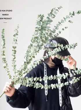 好货尤加利叶干花干树枝真花花束 ins简约客厅装饰轻奢样板房橱窗