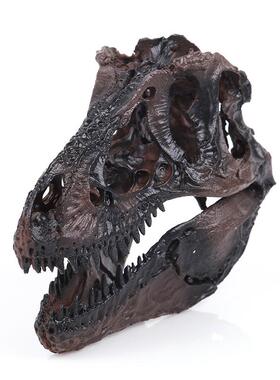 恐龙头骨模型树脂工艺品霸王龙骷髅头动物骨架研究参考动物骷颅头