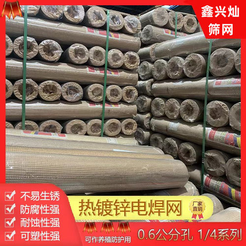 现货热镀锌铁丝网围栏养殖网电焊钢丝网阳台防护栏防鼠网片网格 - 图1