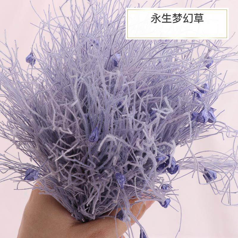 永生梦幻草干花花束龙须草仙女气质ins北欧装饰摄影道具diy配材,淘宝优惠券,粉丝福利购,淘宝优惠卷