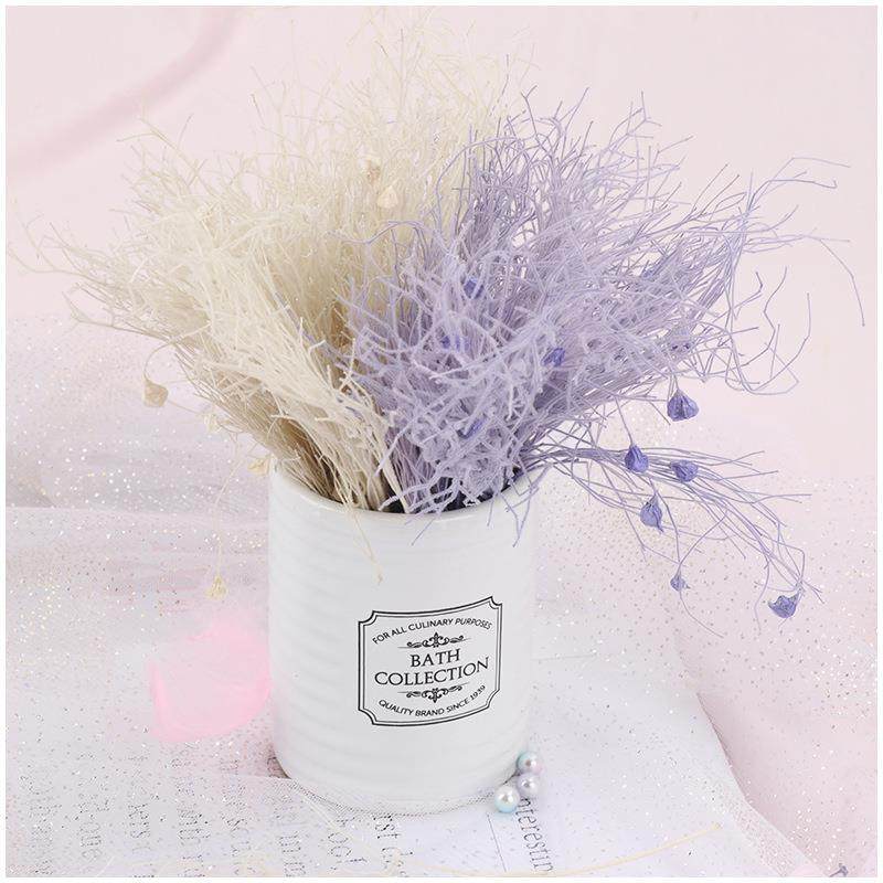 永生梦幻草干花花束龙须草仙女气质ins北欧装饰摄影道具diy配材,淘宝优惠券,粉丝福利购,淘宝优惠卷