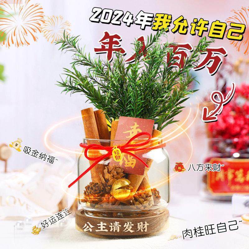 肉桂生财摆件桂皮发财瓶子招财玻璃瓶diy材料办公桌卧室送女友,淘宝优惠券,粉丝福利购,淘宝优惠卷