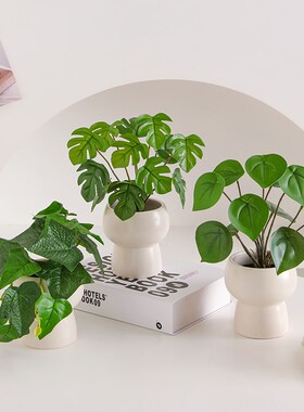 速发盆植盆景摆件玄关客厅家居桌面绿景装饰品室内栽观布置品