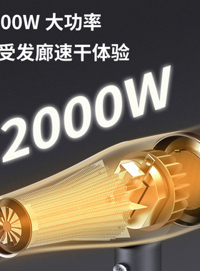 永日黑标家用大功率2000W电吹风机发廊恒温冷热风吹风筒