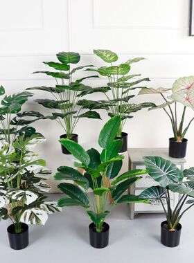 仿真绿植万年青绿萝盆栽 桌面摆件小植物客厅落地 装饰仿真龟背叶