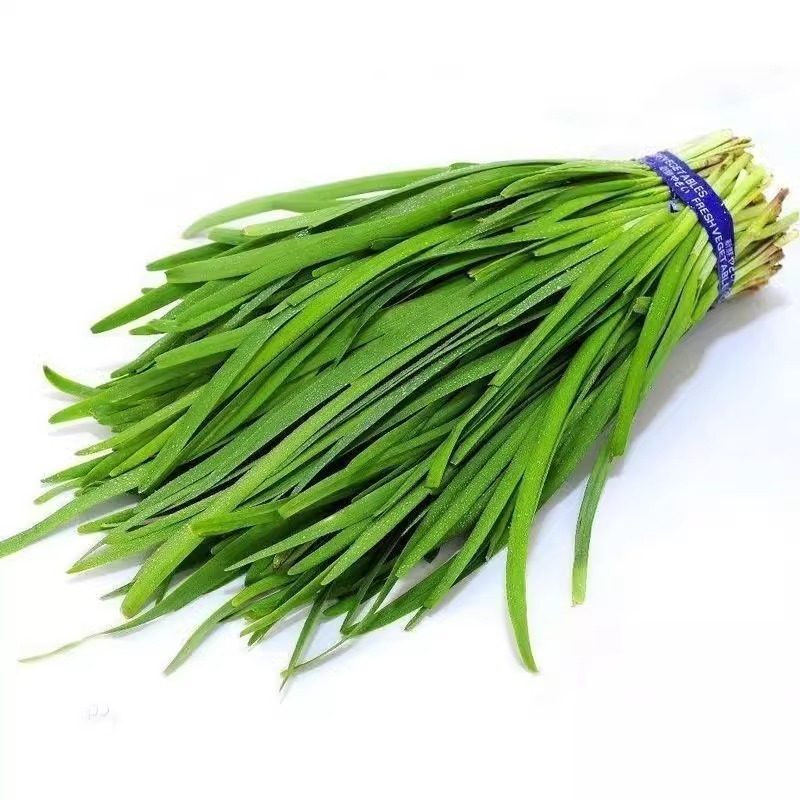 四季韭菜种子反复收割宽叶大小叶红根紫根韭菜阳台盆栽蔬菜种籽孑,淘宝优惠券,粉丝福利购,淘宝优惠卷