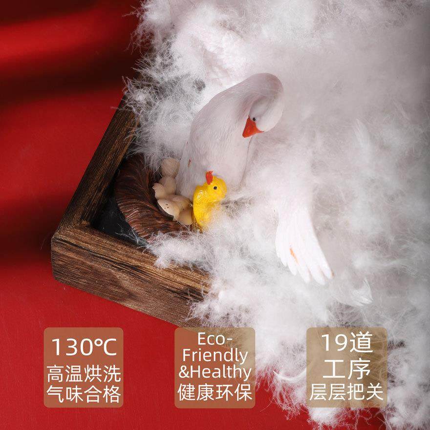 水洗90白鸭绒新国标服装标羽绒原料被子填充厂家直销羽毛,淘宝优惠券,粉丝福利购,淘宝优惠卷