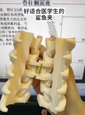 3D打印脊椎骨鲨鱼夹小众个性