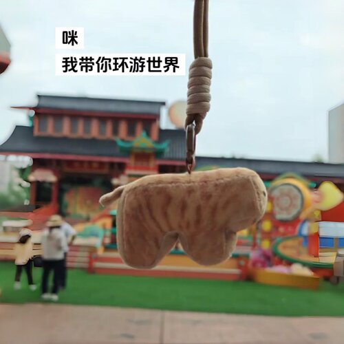 圆头耄耋小猫咪挂件方块宠物狗猫动物拍照打卡玩偶搞怪挂件装饰品 - 图3