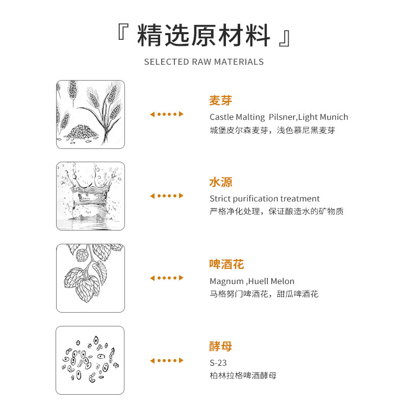 厚浪假日IPA11.5°P艾尔精酿啤酒330ml*6瓶鲜啤原浆啤酒整箱装