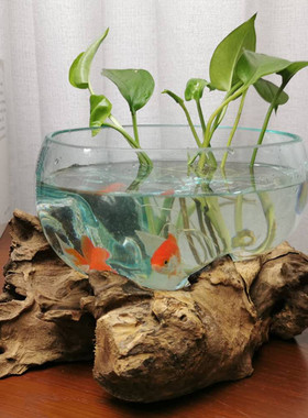 速发沉木枯木创培个性绿萝铜钱草意花插摆禅意 新中式小鱼缸 件