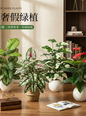 桌面小盆栽仿真散尾葵装饰摆件