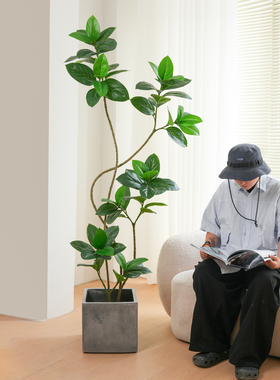 假绿植孟加拉榕室内高端轻奢落地盆栽大型仿生绿色植物摆件装饰树