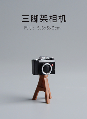 速发猫咪拍摄照相机摄影道式摆件日具可景微爱观场景搭配a耶诞节