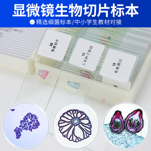 博而司显微镜生物标本切片观察配件动物植物细胞昆虫细菌微生物高清高透样本玻璃载玻片儿童学生教学套装实验 - 图0