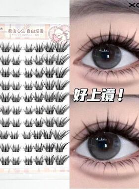 XOYO漫画布偶猫免胶假睫毛上镜款狐系假睫毛眼尾自然拉长感