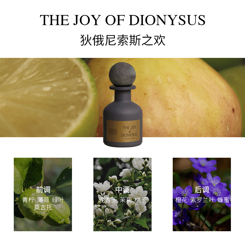 【新年礼物】EBERS伊伯斯无火香薰室内香薰室内持久留香礼物,淘宝优惠券,粉丝福利购,淘宝优惠卷