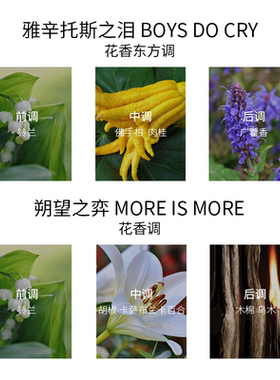 【专柜正品】EBERS室内晶石香薰