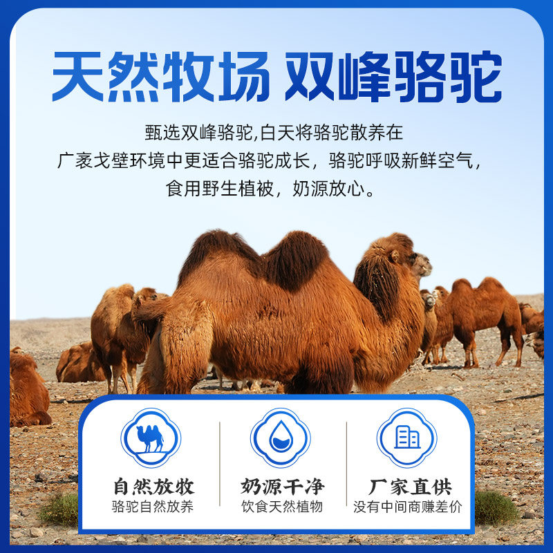 华夏丝路骆驼奶粉新疆官方旗舰店富硒益生菌配方驼乳粉140g/盒