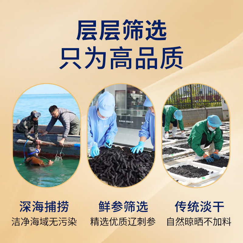 小兵海参淡干辽刺参 天然底播参辽参淡干海参海鲜干货礼盒送长辈,淘宝优惠券,粉丝福利购,淘宝优惠卷